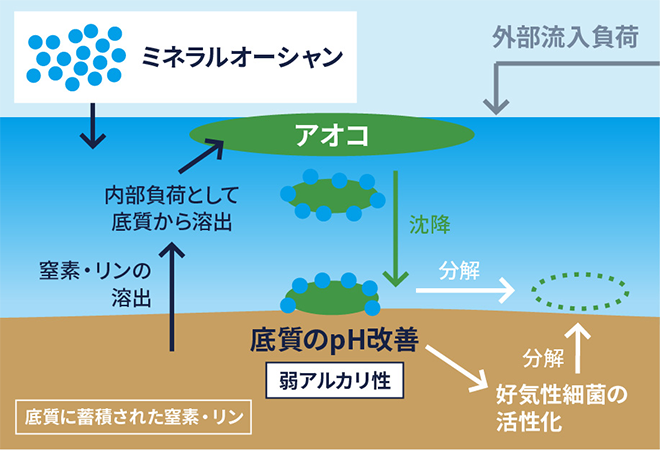 アオコ除去の仕組み