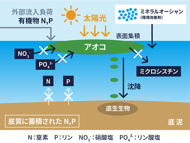 ミネラルオーシャンのイノベーションイメージ