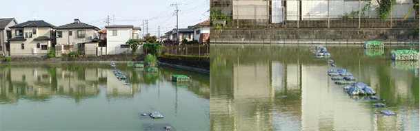 散布後 光り輝く水面