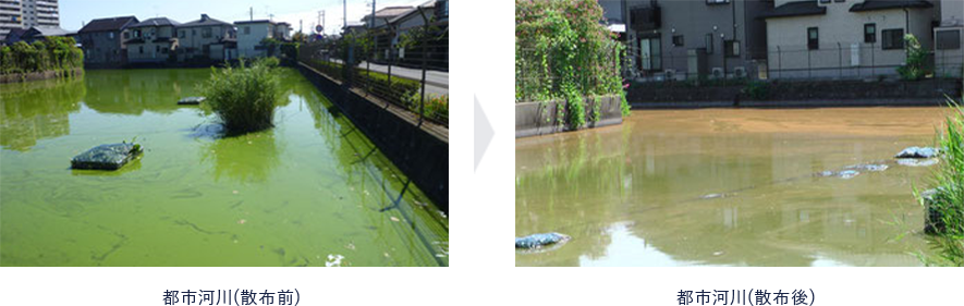 都市河川散布の様子