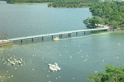 湖沼の水質・底質改善