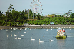 湖沼の水質・底質改善