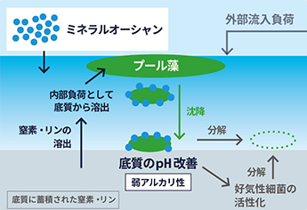 藻・ヌメリ、汚れ対策の仕組みイメージ