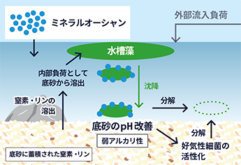 藻・ヌメリ、汚れ対策の仕組みイメージ