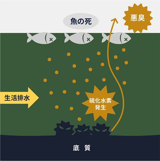 河川・湖沼の水質悪化対策に